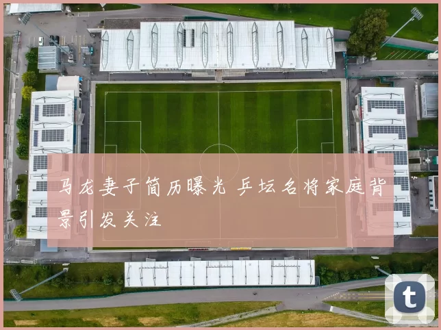 马龙妻子简历曝光 乒坛名将家庭背景引发关注