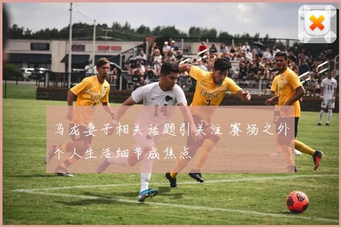 马龙妻子相关话题引关注 赛场之外个人生活细节成焦点