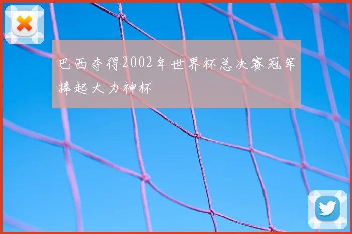 巴西夺得2002年世界杯总决赛冠军捧起大力神杯