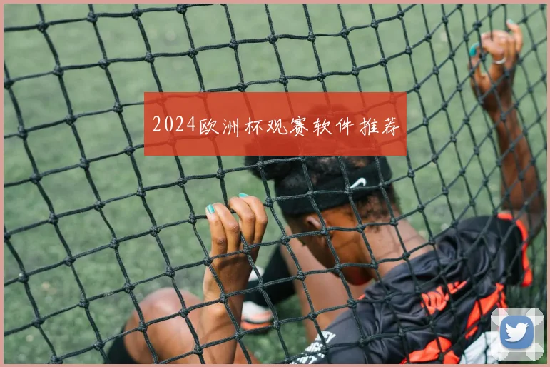 2024欧洲杯观赛软件推荐