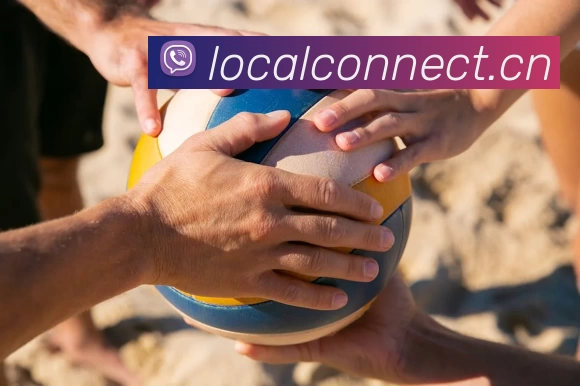 App Interface Preview